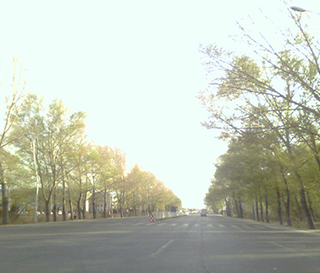 2004年5月14日 我的工作中 大庆初春