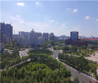 君子如兰，气质如兰