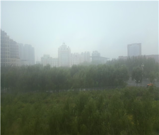 陈律师讲婚姻案件的抚养权一