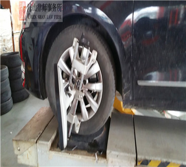 2017年3月12日雪地胎，