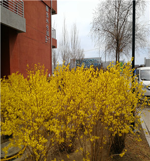 2018年4月23日 高新技术产业开发区的楼下，