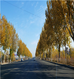 2018年10月24日 大庆黄叶