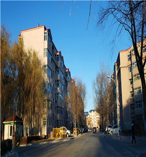 2018年11月20日 大庆市凌源县的一起婚姻案件