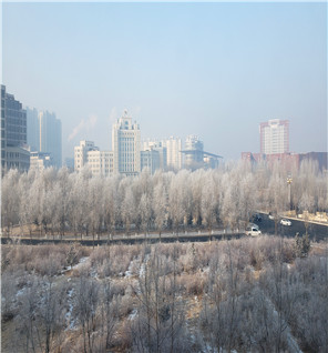 2019年1月14日 大庆的雾霾雾凇