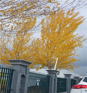 2018年10月26日 中法