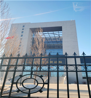 2019年1月31日 **一次开庭