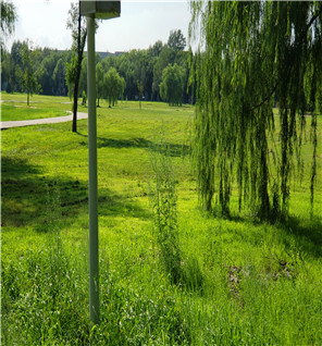 2019年7月30日 大庆市中级人民法院