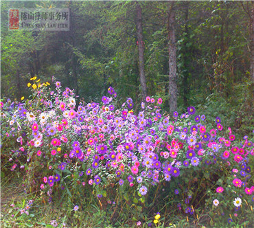 2012年9月25日 我们的公司法律师团队在哈尔滨