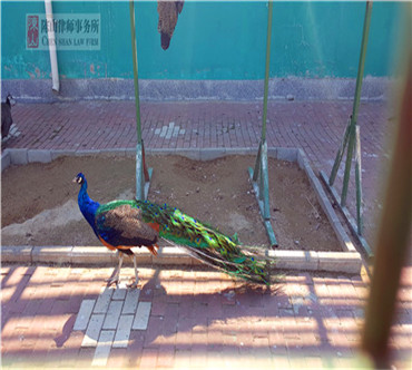 2017年 大庆市龙凤区湿地，