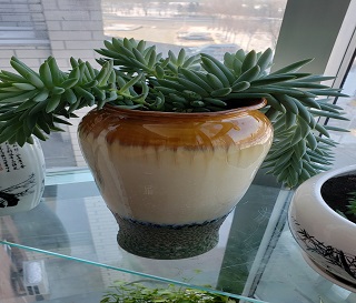 离婚孩子一定会被判给给女方吗？