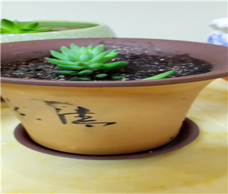 什么是非婚生子，非婚生子的法律地位有什么