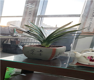 名节大于**的原则，长期利益大于眼前利益