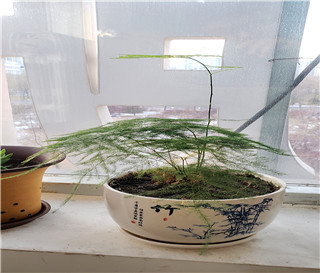 收案有原则，我们只收取对当事人有性价比的