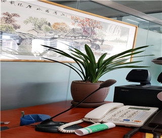 受案代理原则之迅速解决核心问题原则，