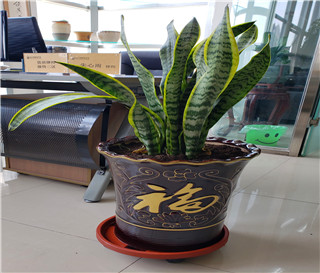 收案代理的原则，道义优先原则，