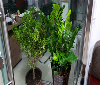 夫妻共同债务的讲解，