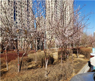 丈夫常年不履行夫妻同房义务够犯罪吗