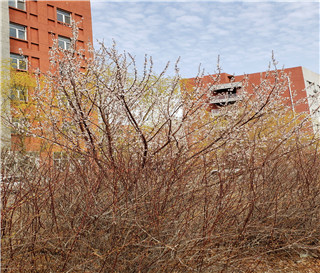 同居分手子女和财产的处理原则，