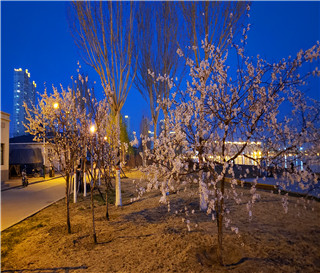 没领结婚证在一起住，两人的财产有何注意事